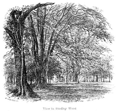 The New Forest: Its History and Its Scenery by Walter Crane
